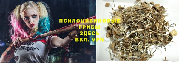 сатива Баксан