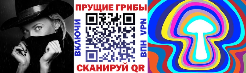 Купить закладки Георгиевск Галлюциногенные грибы Magic Shrooms